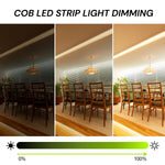 32ft (10m) Waterproof COB LED Strip Light - 24V, High CRI 90+, 146 LEDs/ft Dot-Free Seamless Glow, IP65 Waterproof, Dimmable, UL Listed, 36,000 Hrs, 5-Year Warranty