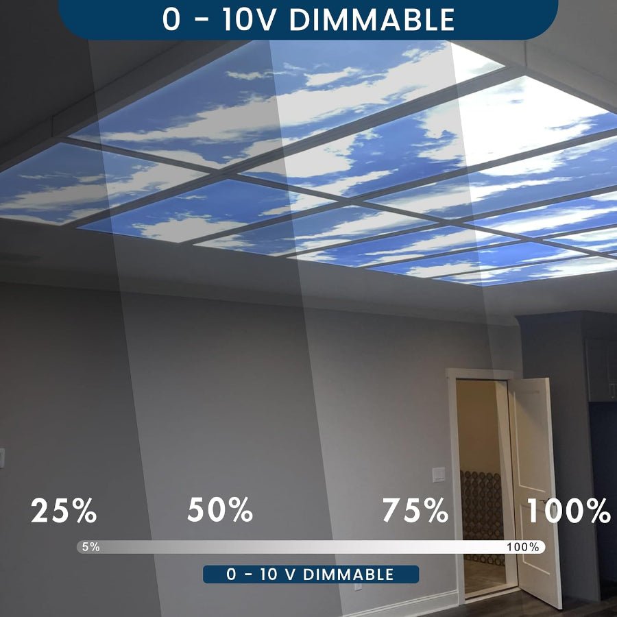 2x4 LED Sky Ceiling Panels for Commercial Spaces | PatelLED – Patel LED